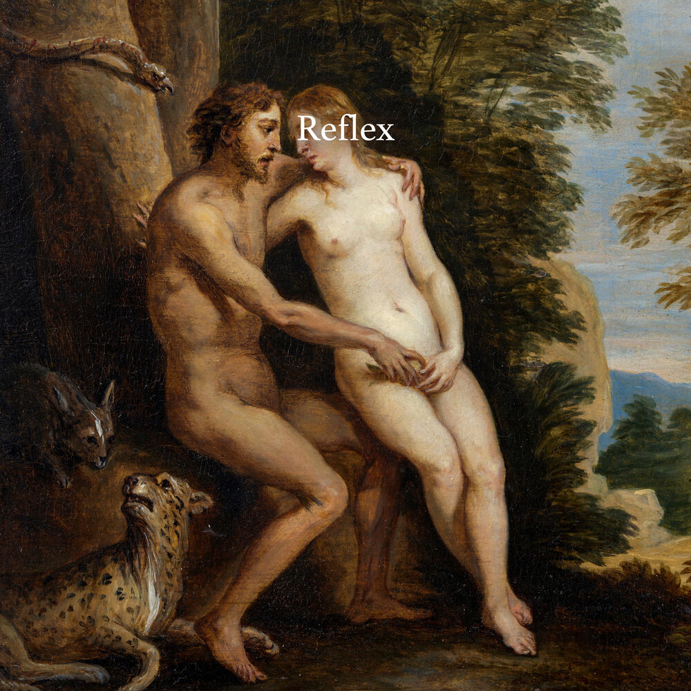 Picture of Reflex
