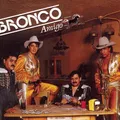 Amigo Bronco