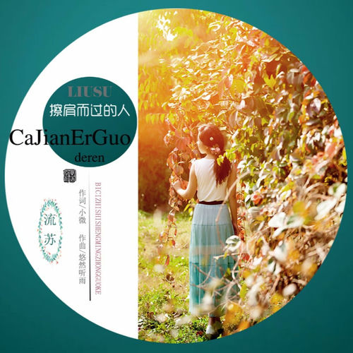 擦肩而过的人
