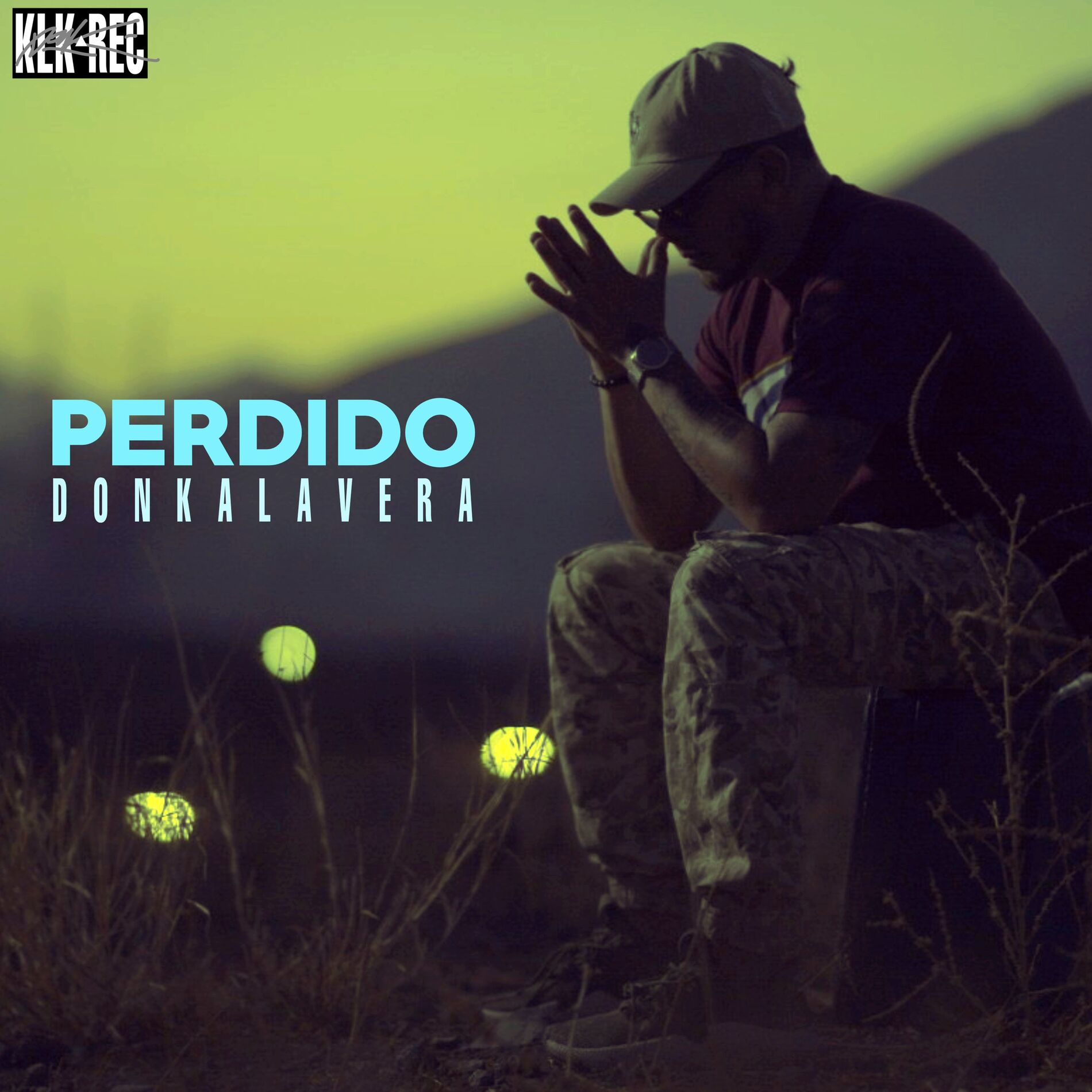 Album cover of Perdido