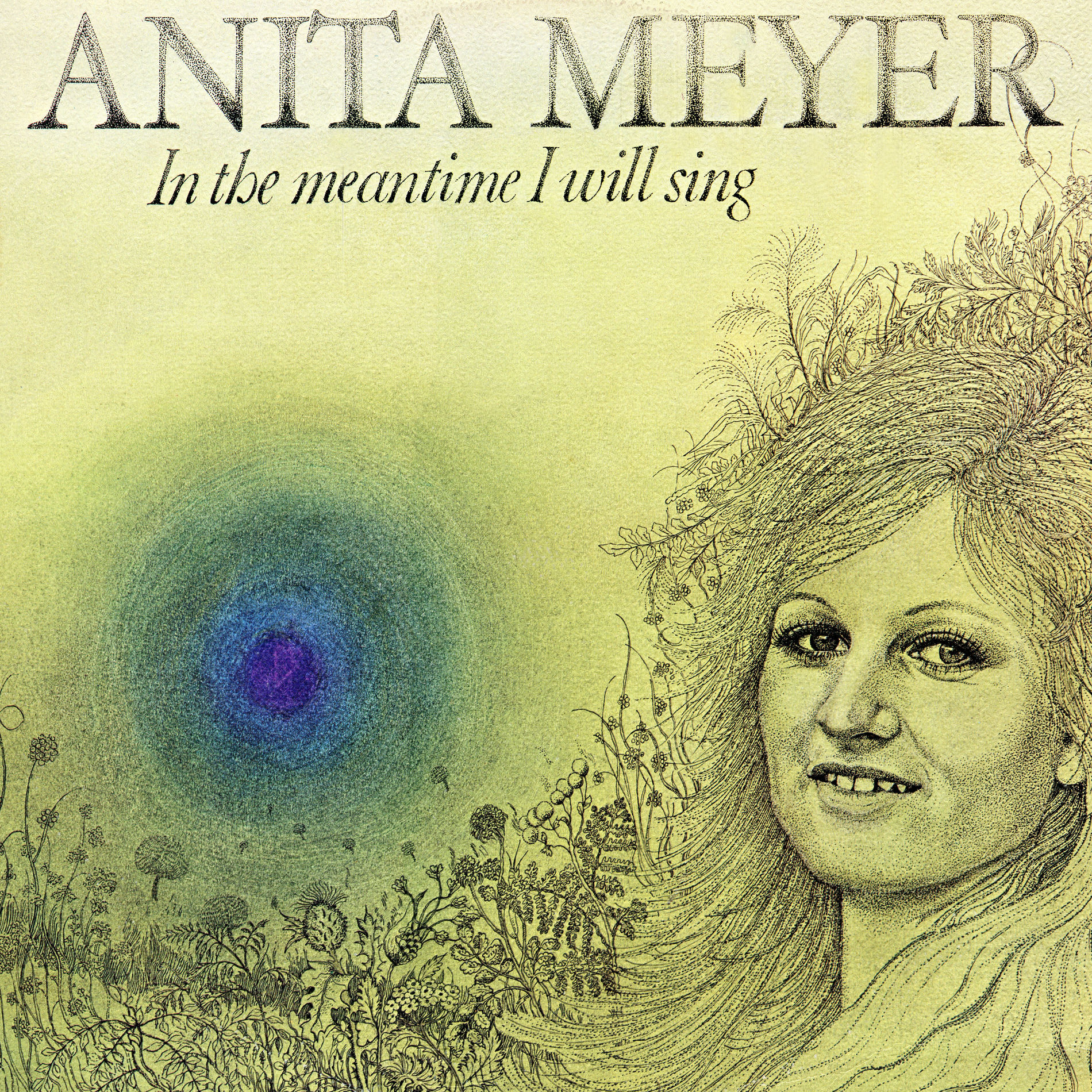 Album cover of In the Meantime I Will Sing