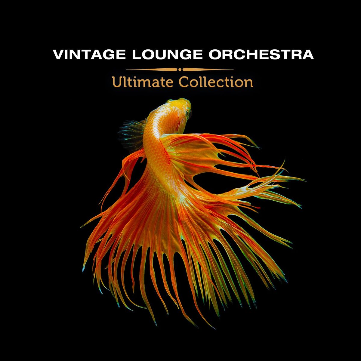 Album cover of Ultimate Collection