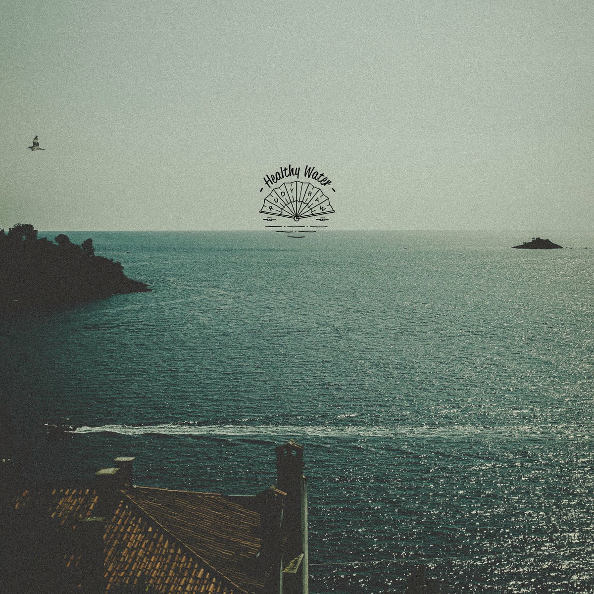 Album cover of - Healthy Water -