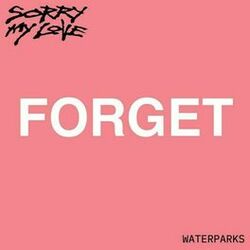 Cover of Forget