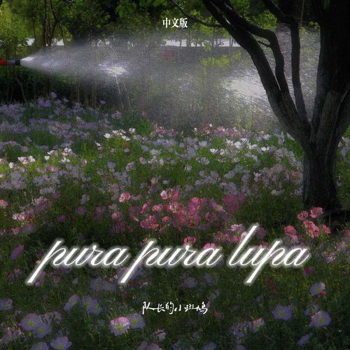 pura pura lupa (中文版)