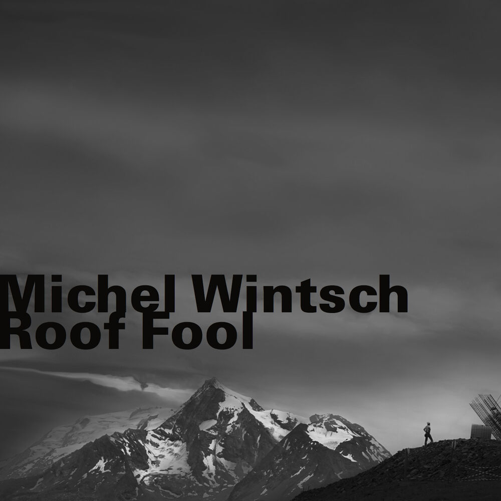Picture of Roof Fool