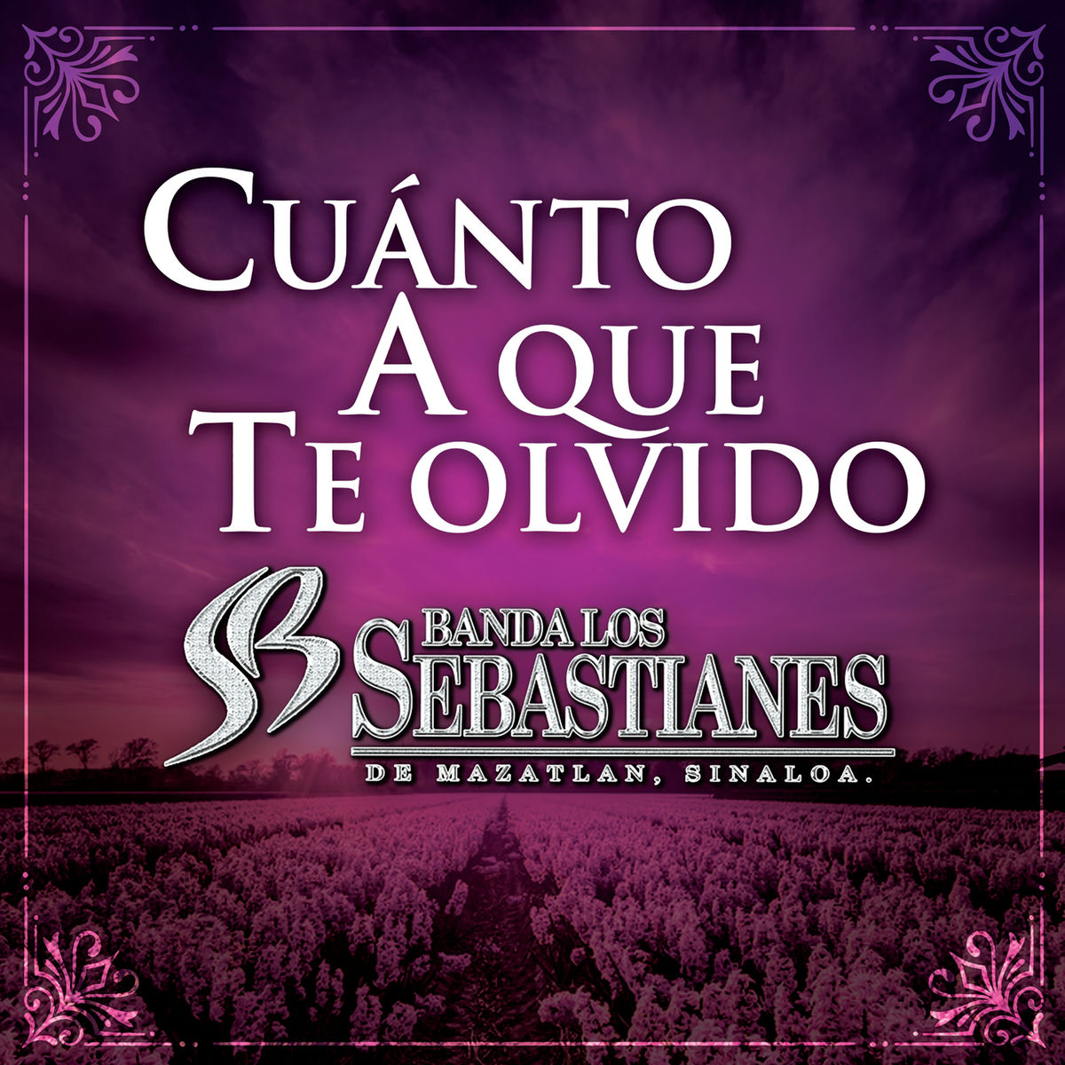 Album picture of Cuánto A Que Te Olvido