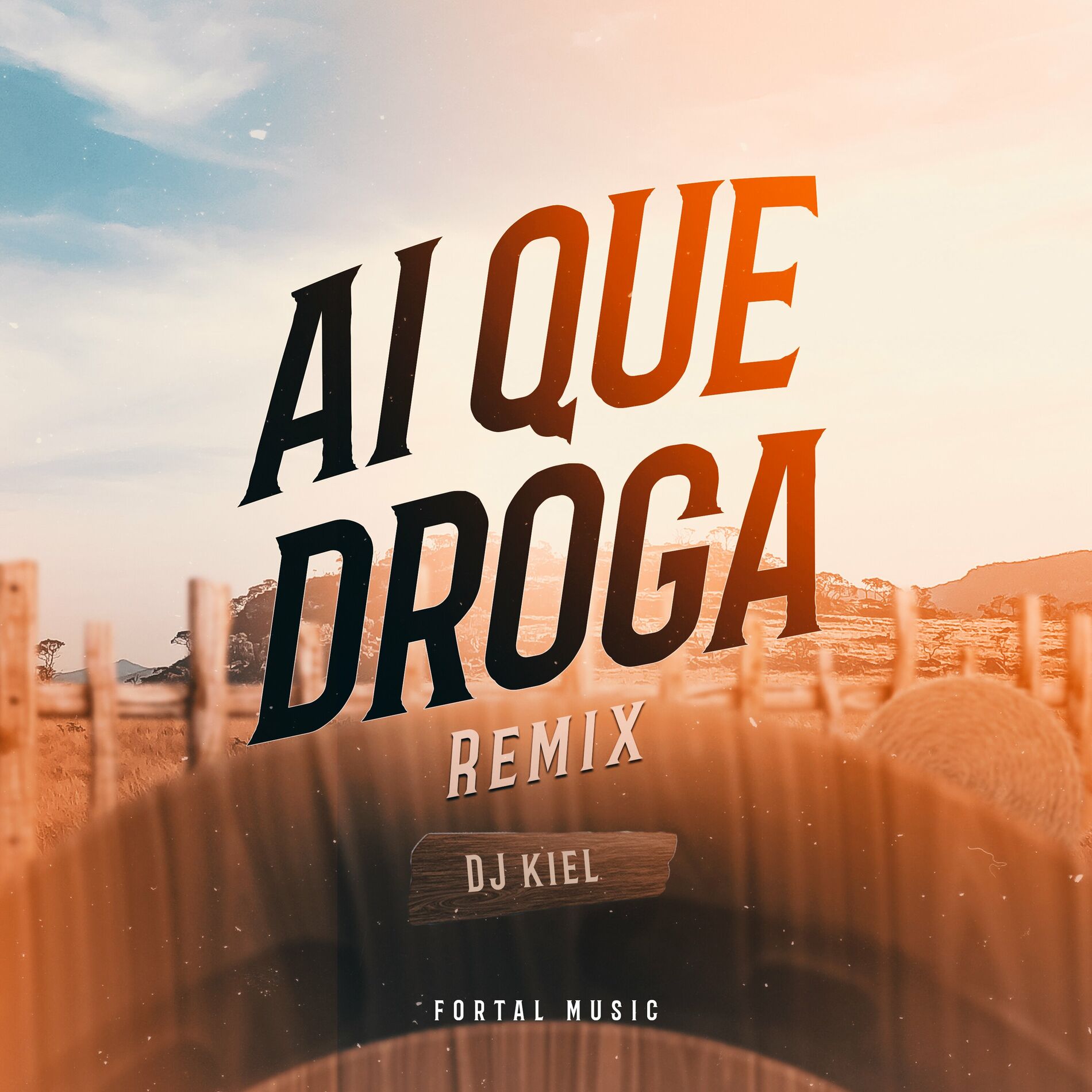 Album cover of Ai Que Droga (Remix)