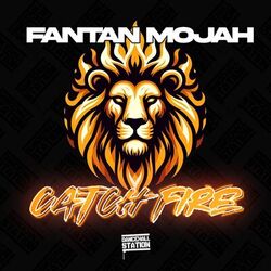 Cover of Catch Fire