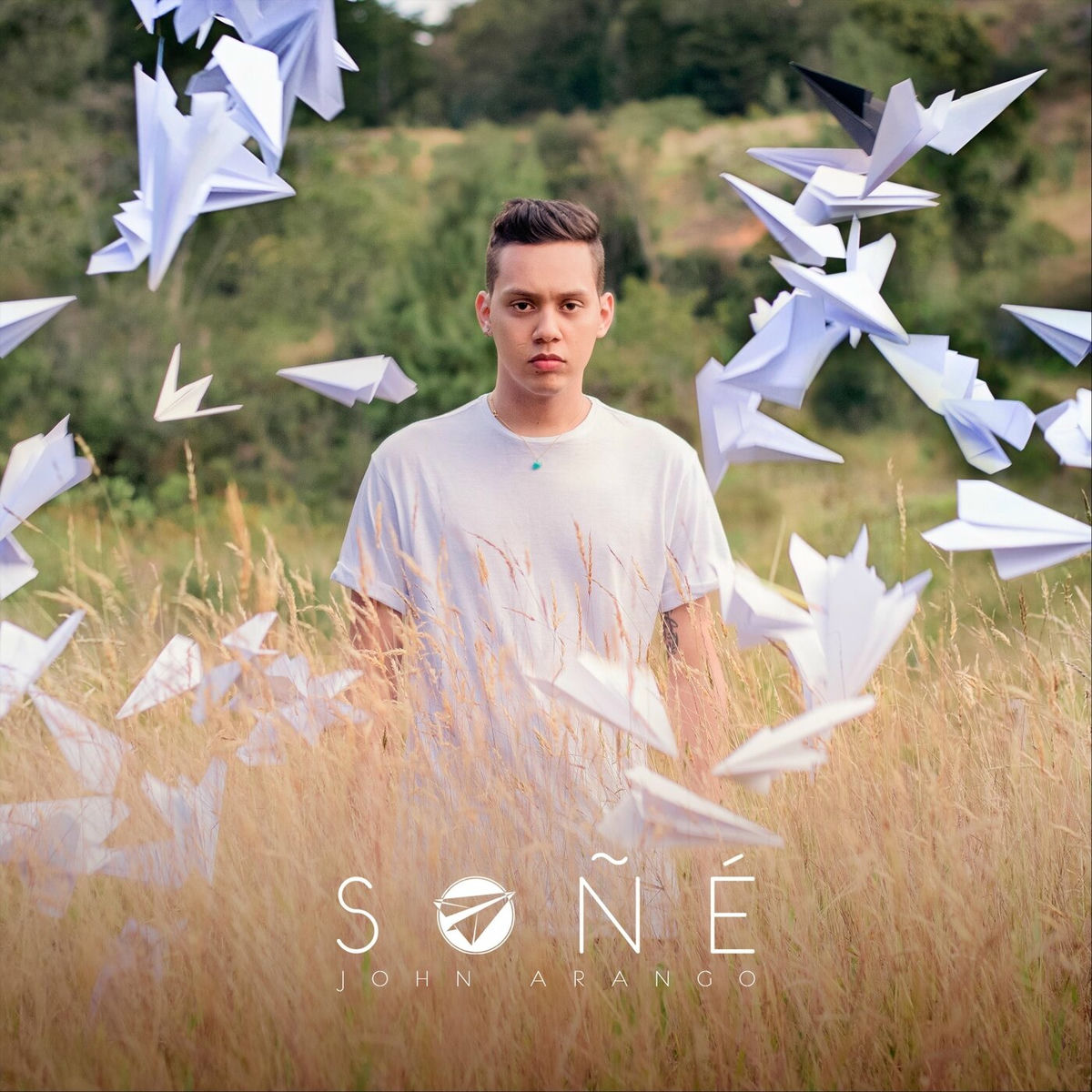 Album cover of Soñé