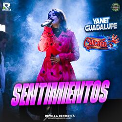 Cover of Sentimientos