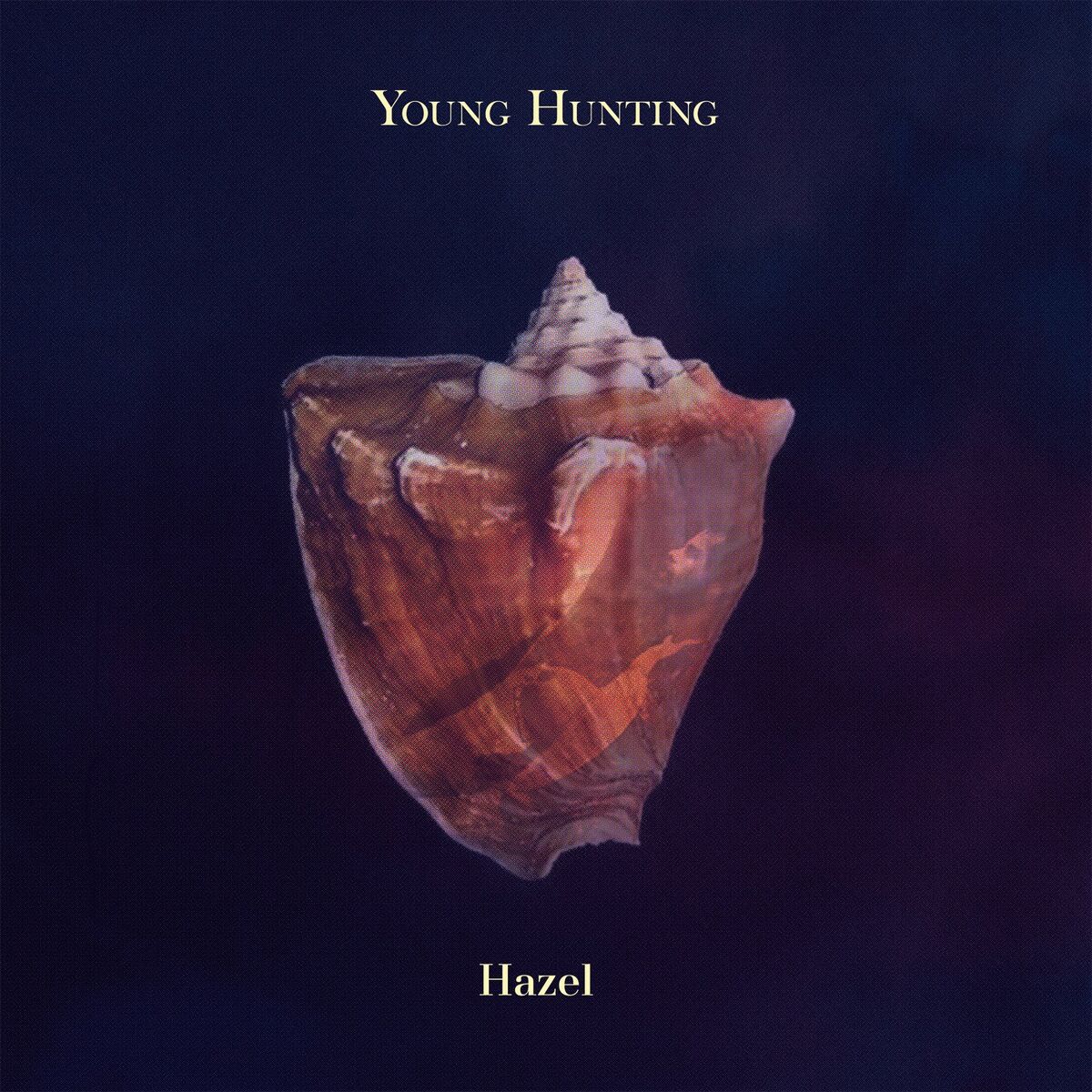 Album cover of Hazel