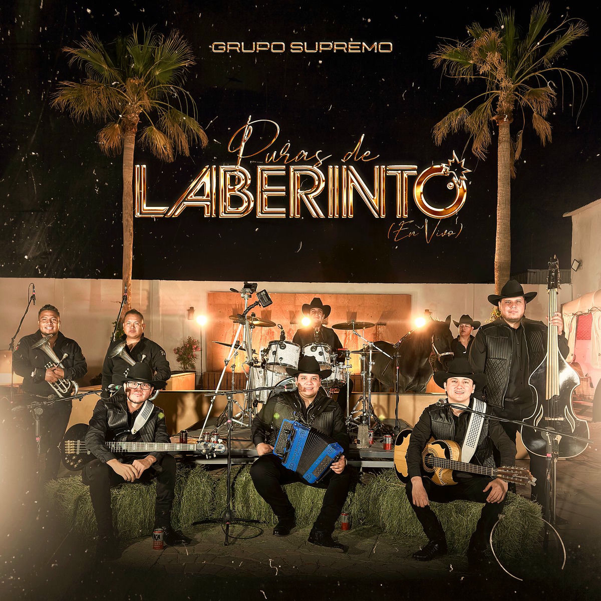 Album cover of Puras De Laberinto (En Vivo)