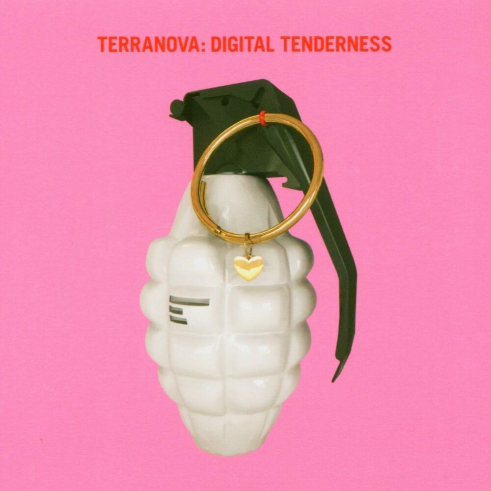 Picture of Digital Tenderness
