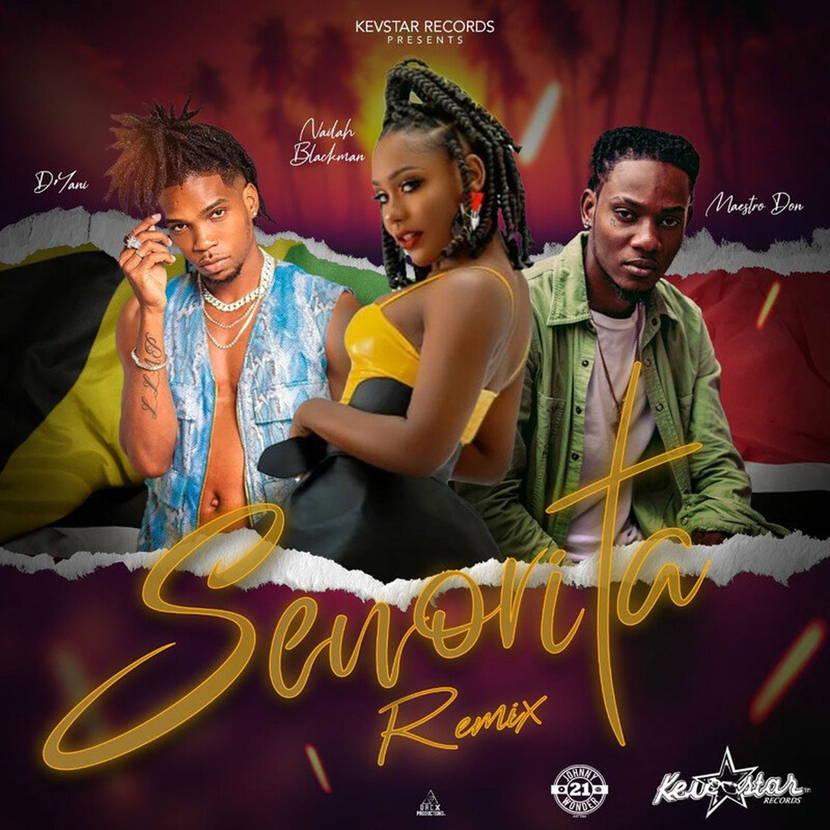 Album cover of Senorita