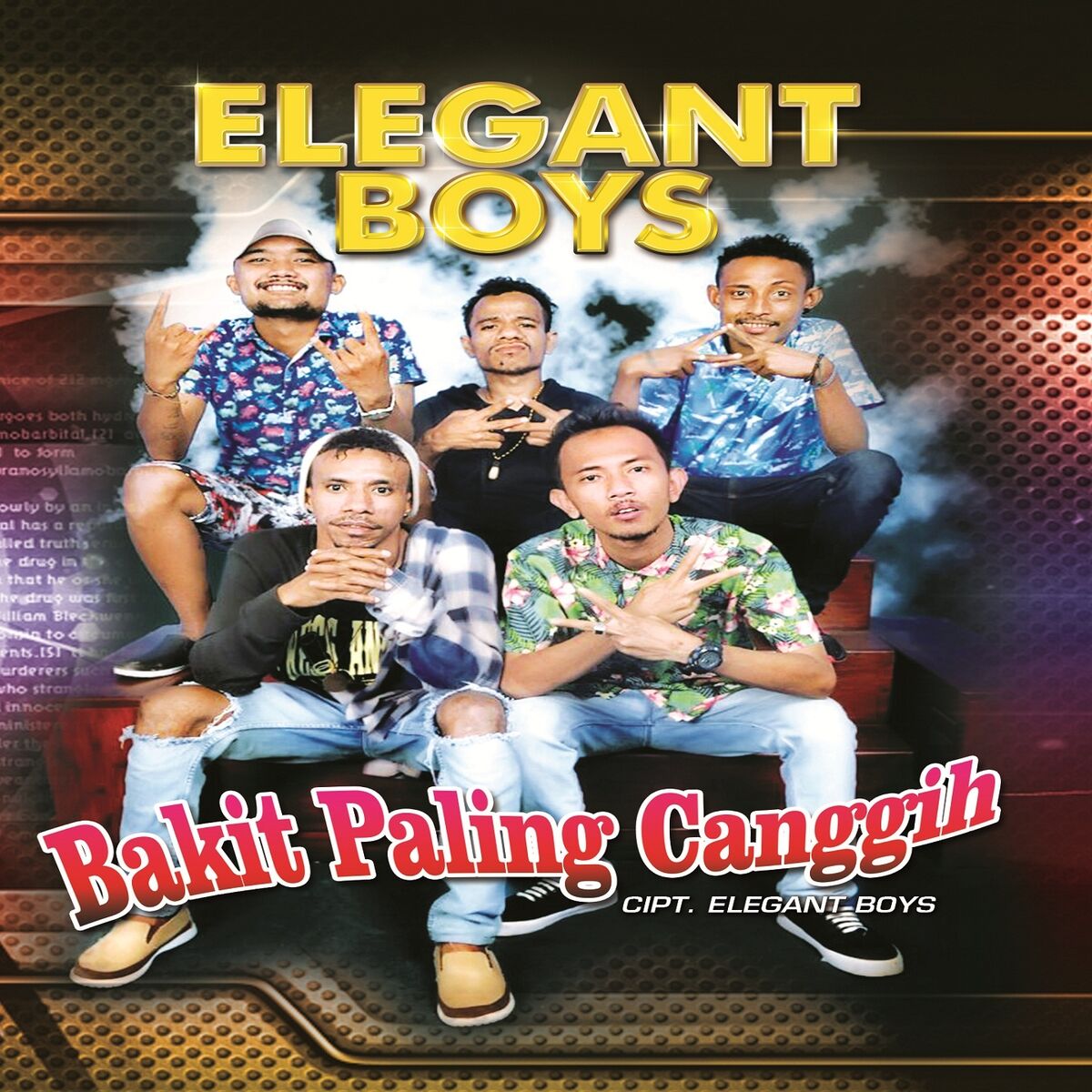Album cover of Elegant Boys