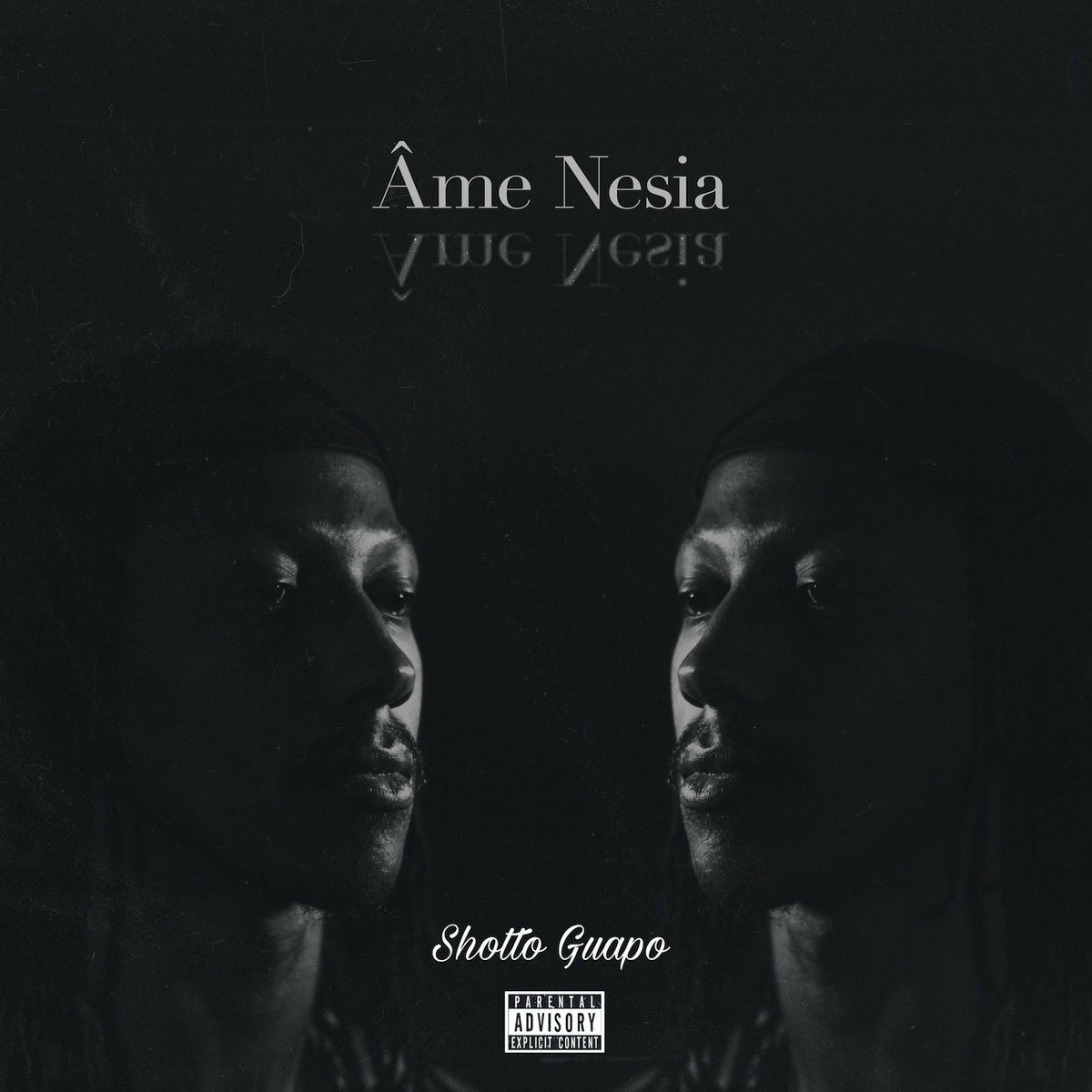 Album cover of Âme nesia