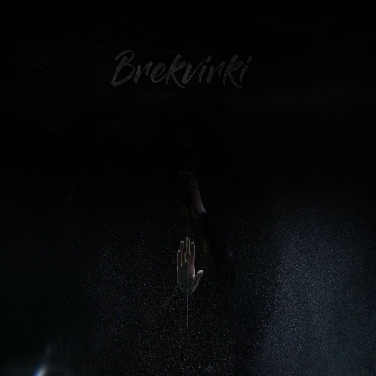 Album cover of Brekvirki