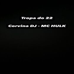 Cover of Tropa do 22