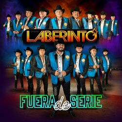 Cover of Fuera de Serie