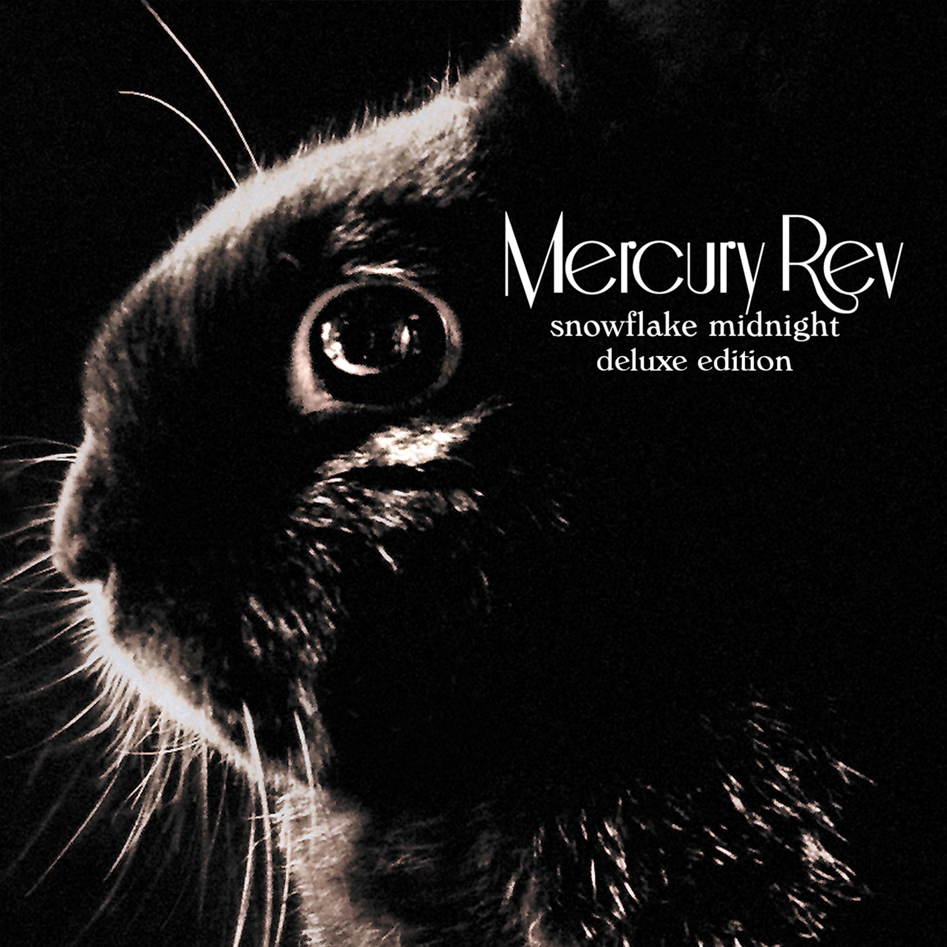 Album cover of Snowflake Midnight (Deluxe Edition)