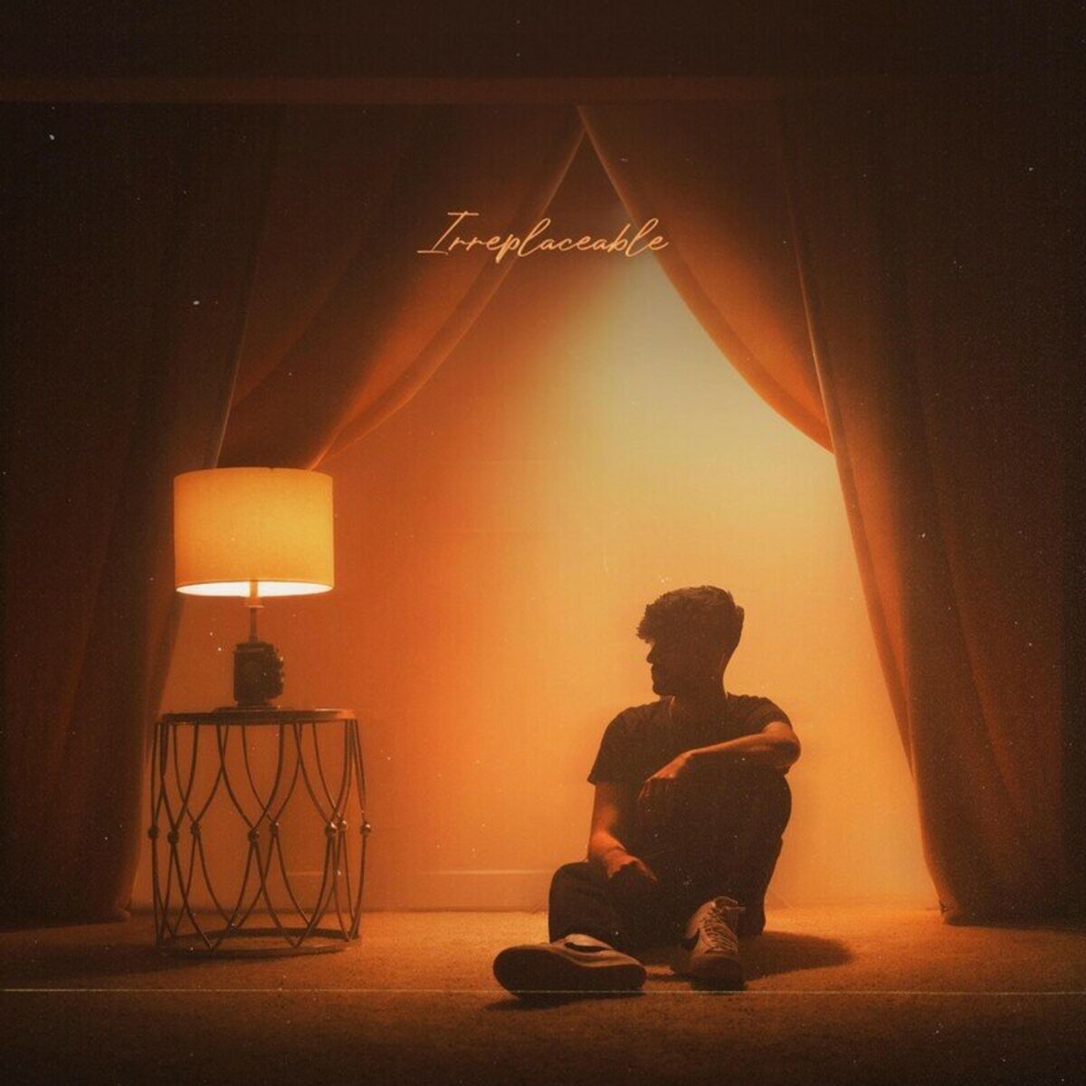 Album cover of Irreplaceable