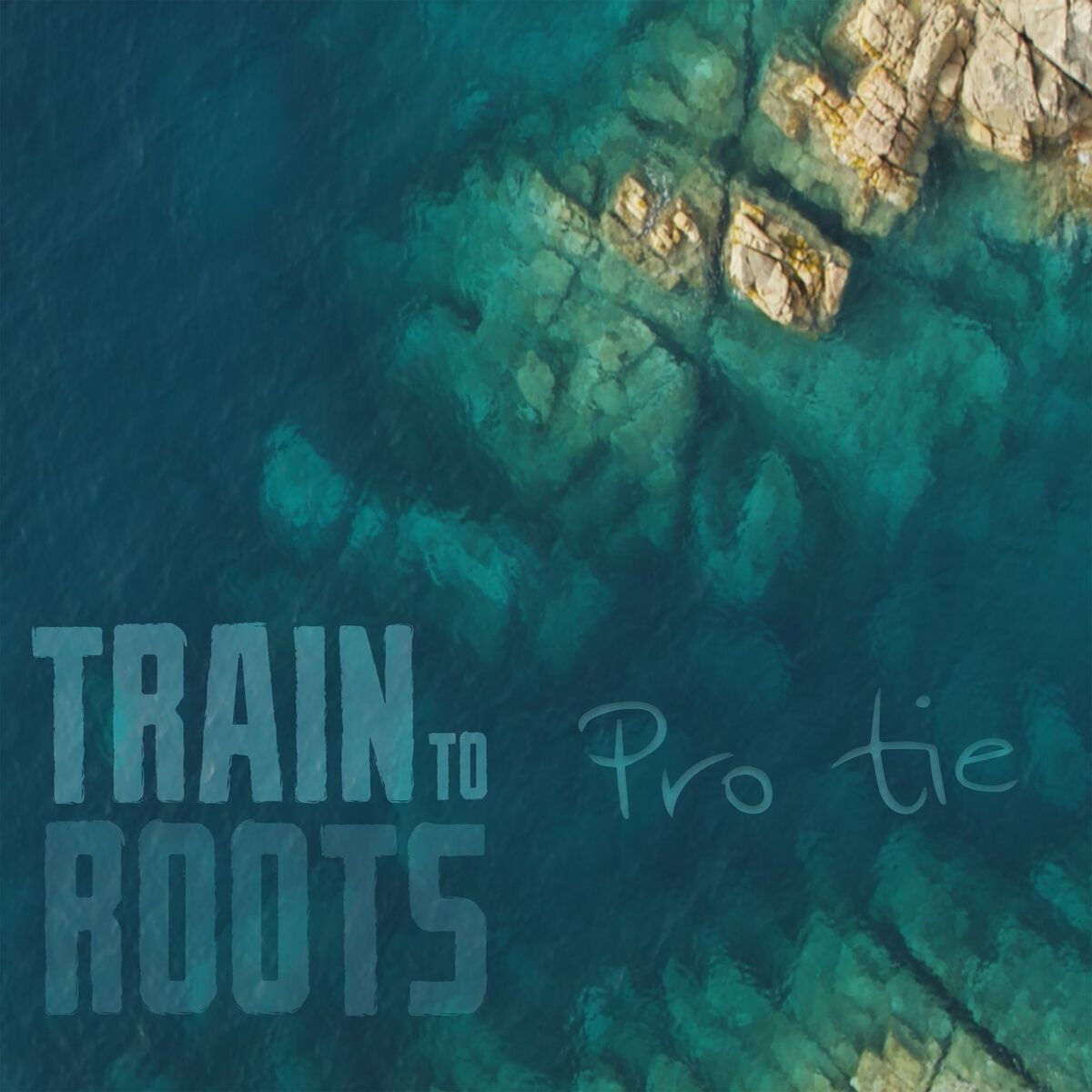 Album cover of Pro Tie