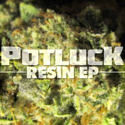 Cover of Resin
