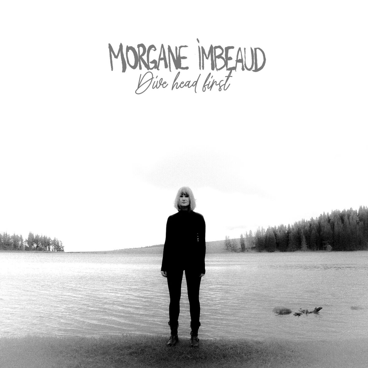 Album cover of Dive Head First