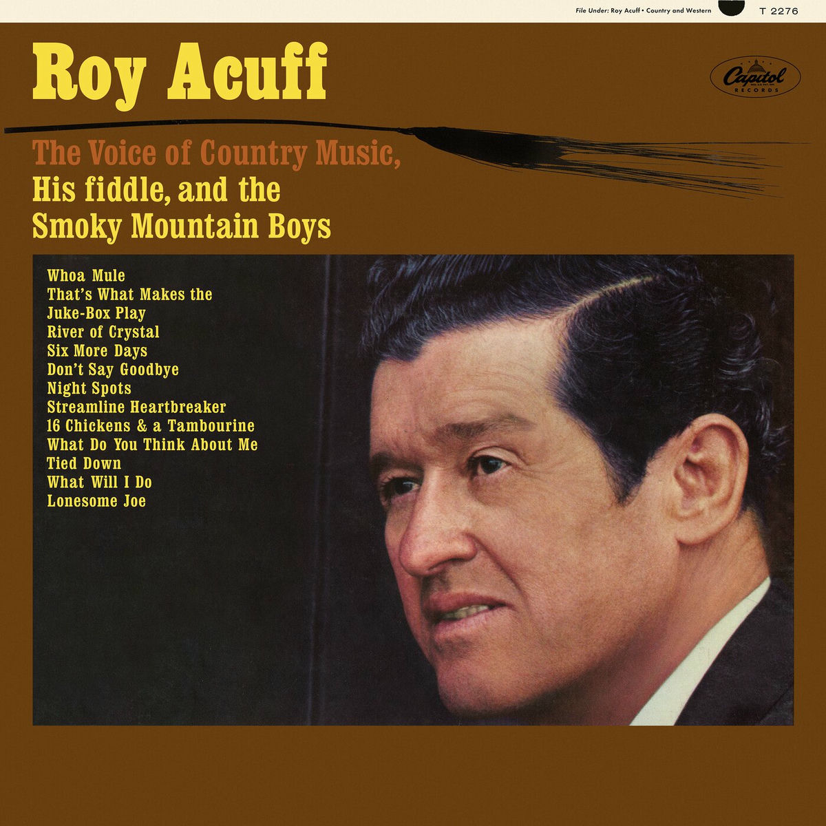 Album cover of The Voice of Country Music