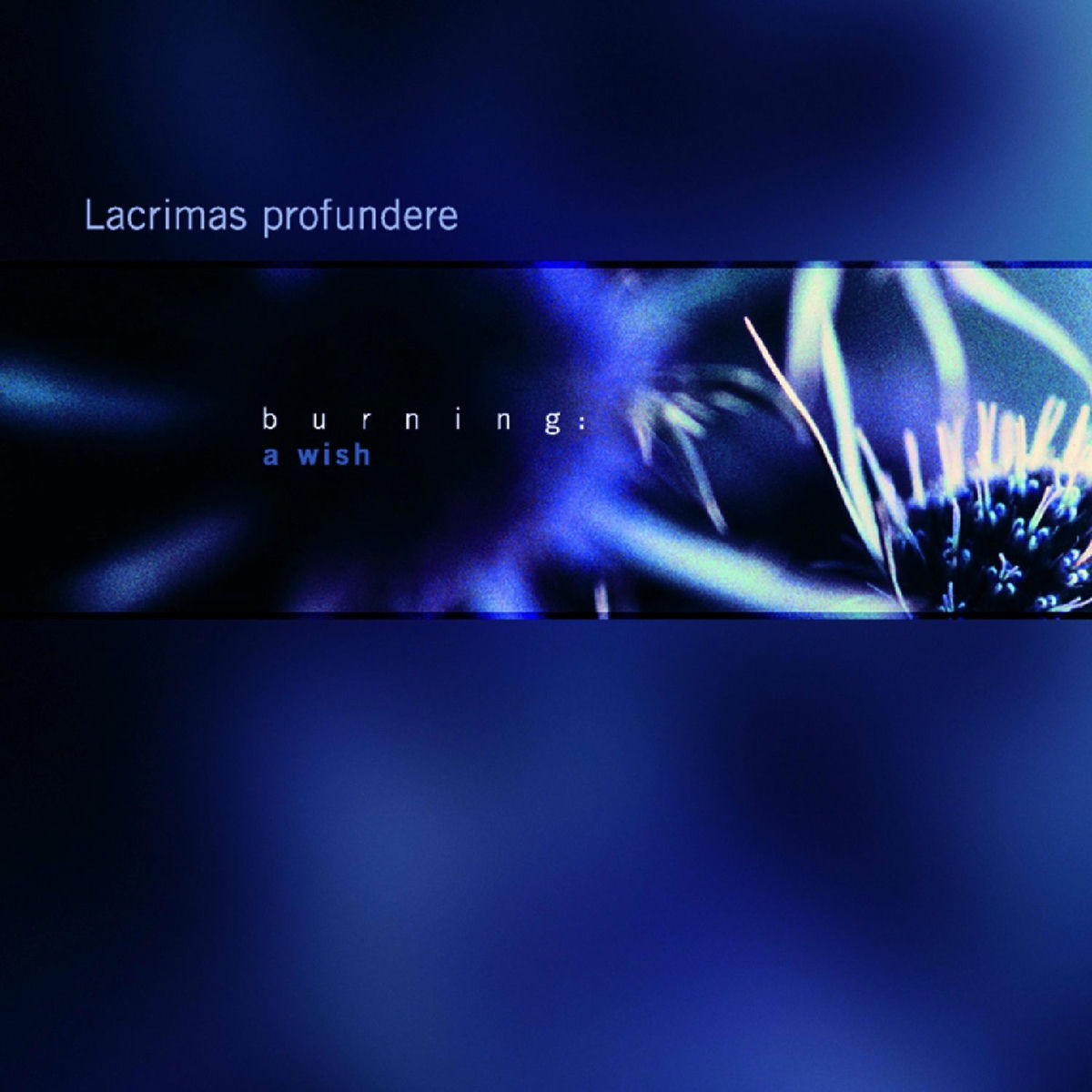 Album cover of Burning: A Wish