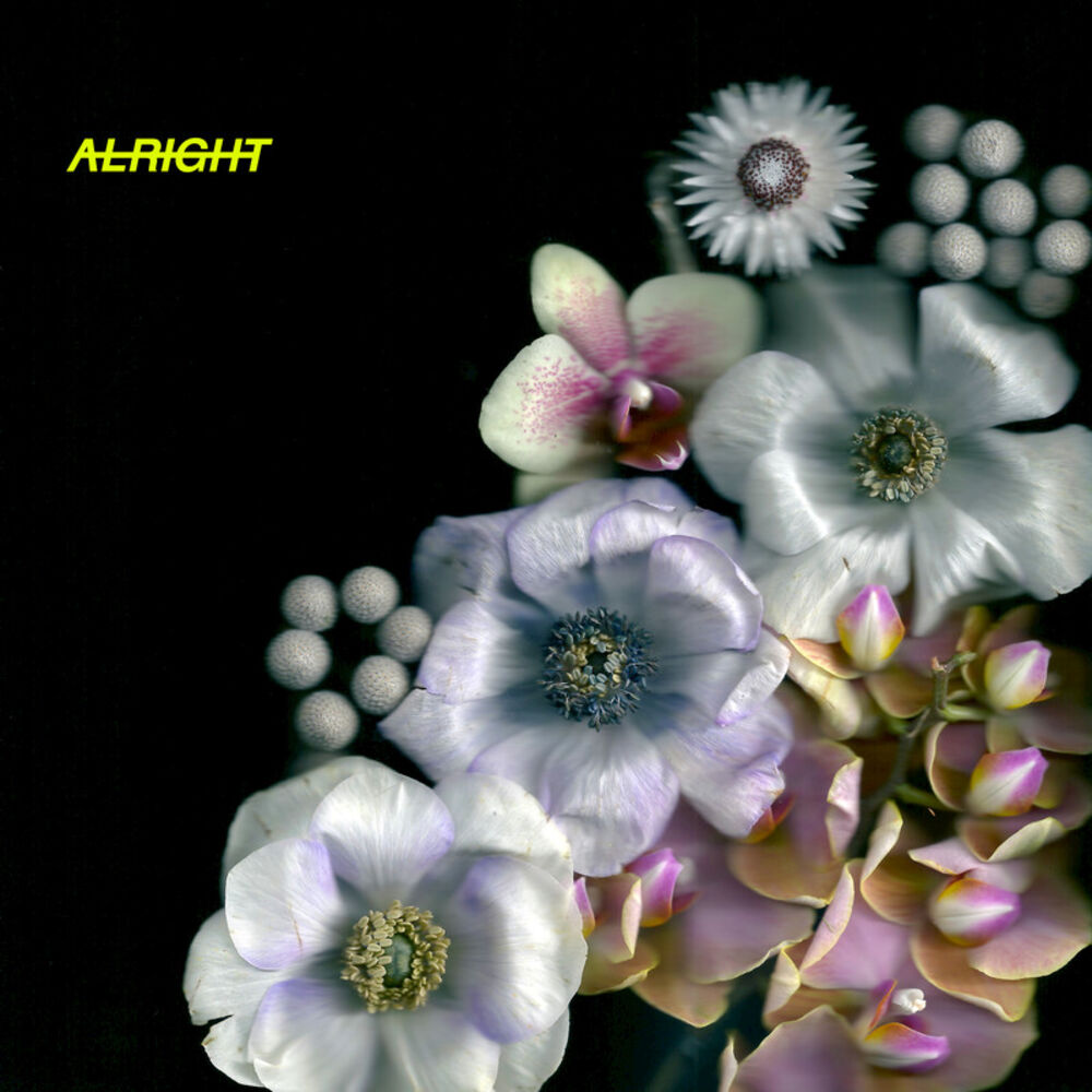 Picture of Alright