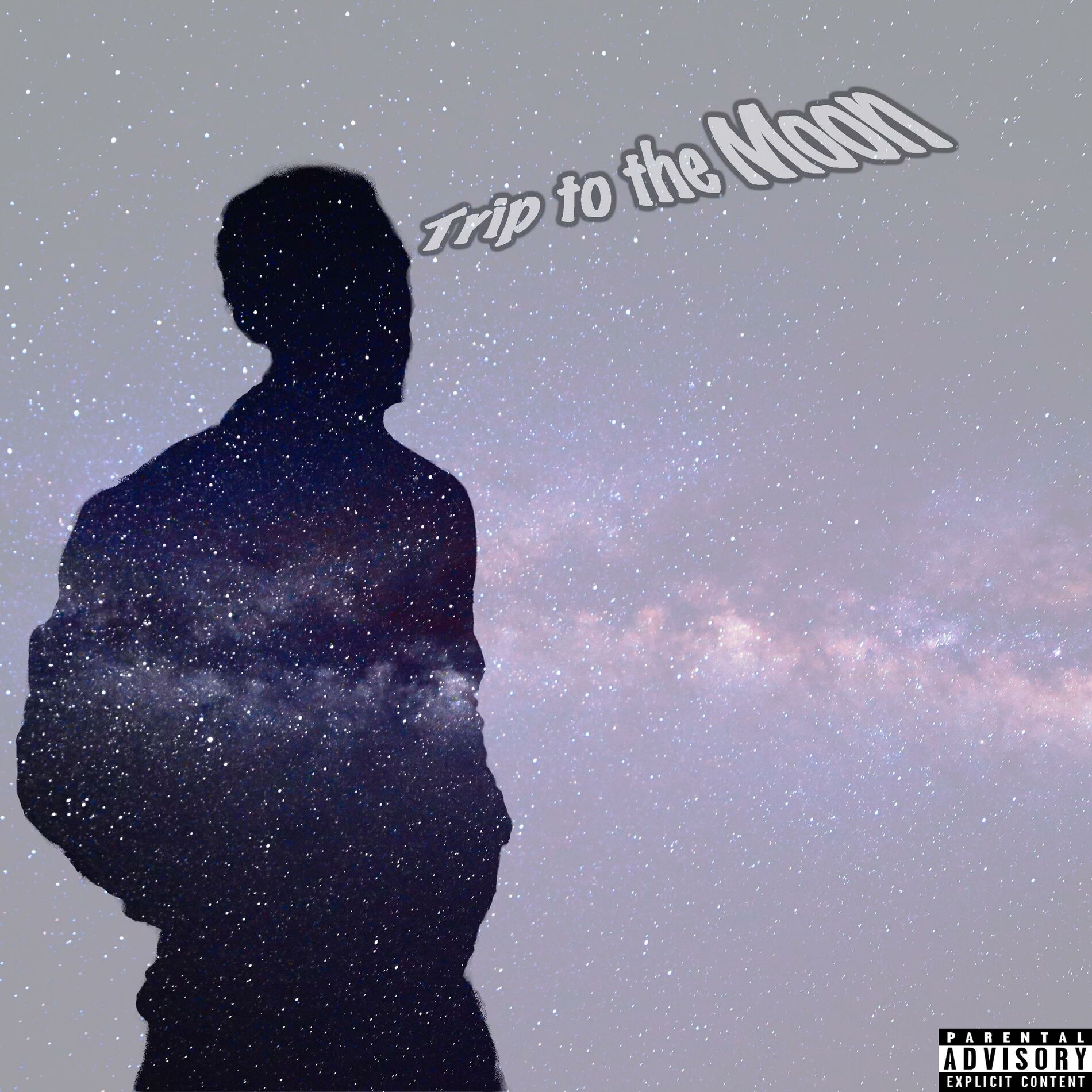 Album cover of Trip to the Moon