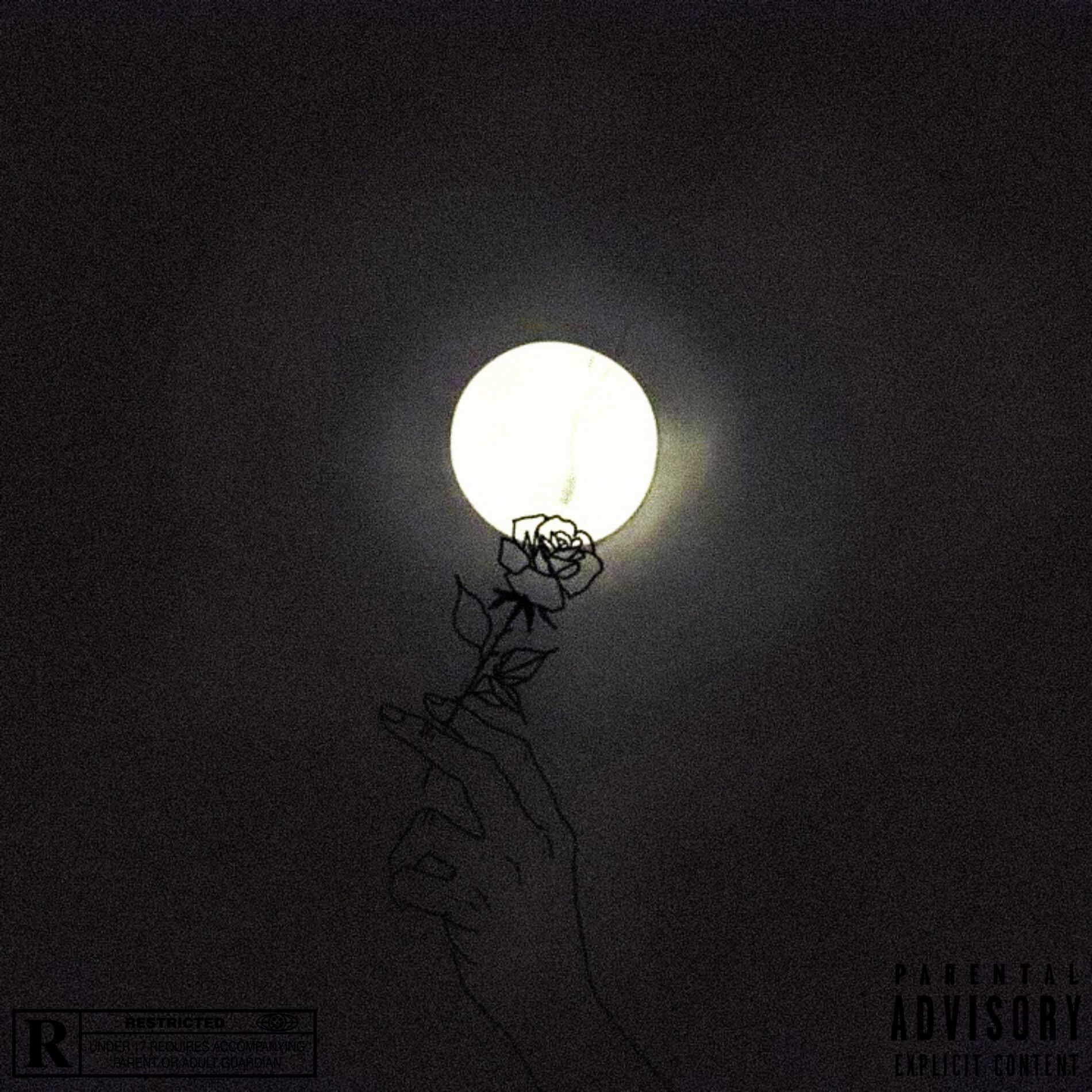 Album cover of La Rose du Soir