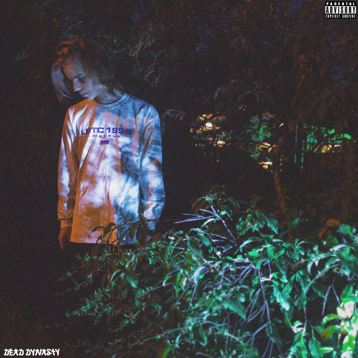 Album cover of PHLORA