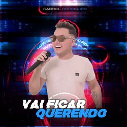 Cover of Vai Ficar Querendo