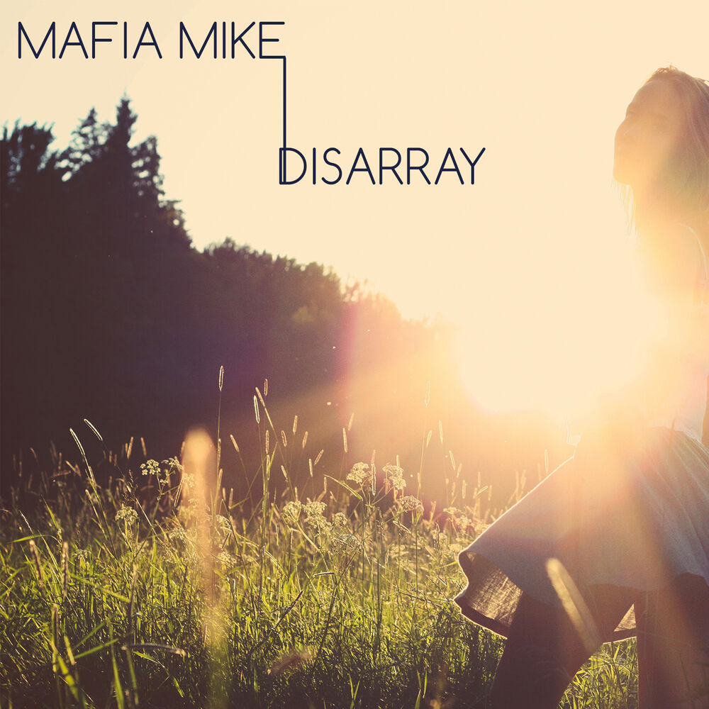 Picture of Disarray