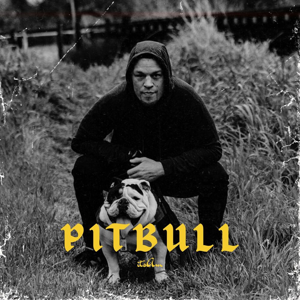 Picture of Aggressive Diss Track X Drill Type Beat "PITBULL"