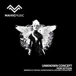 Cover of Perception