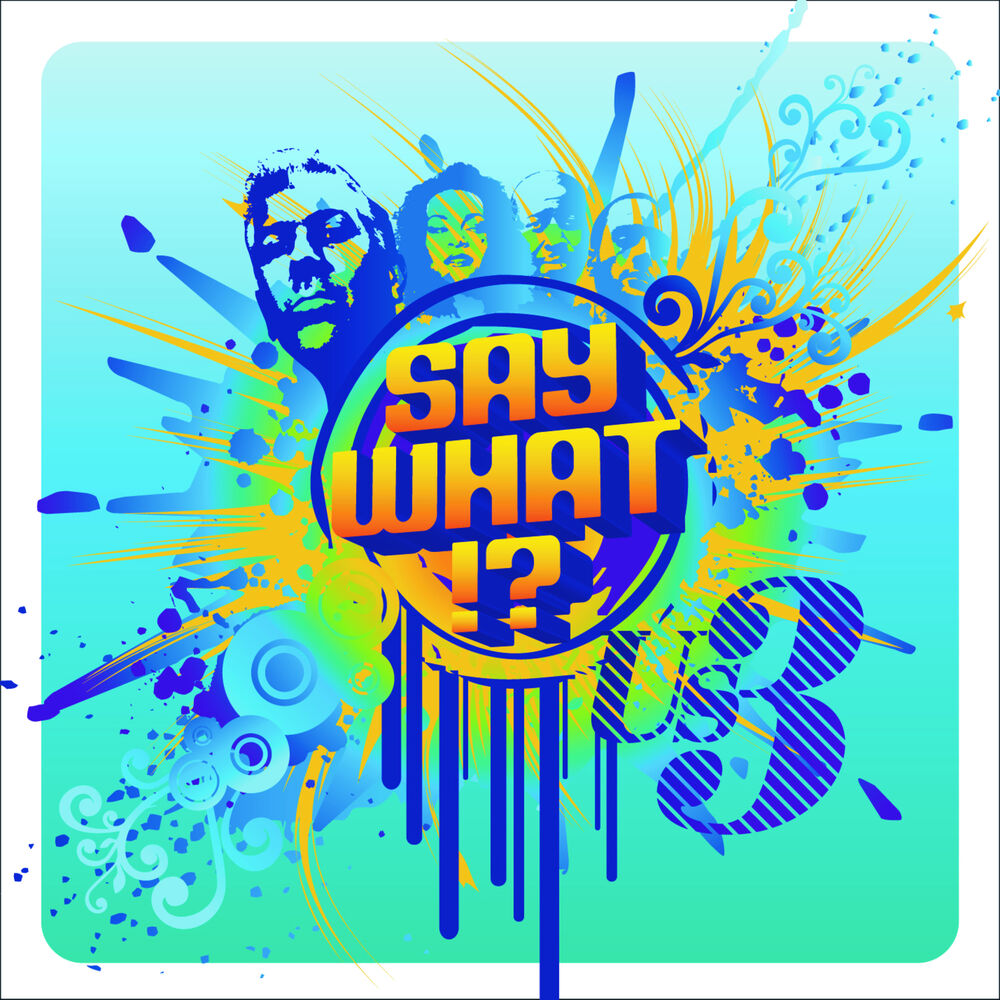 Picture of Say What!?