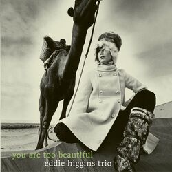 Cover of You Are Too Beautiful