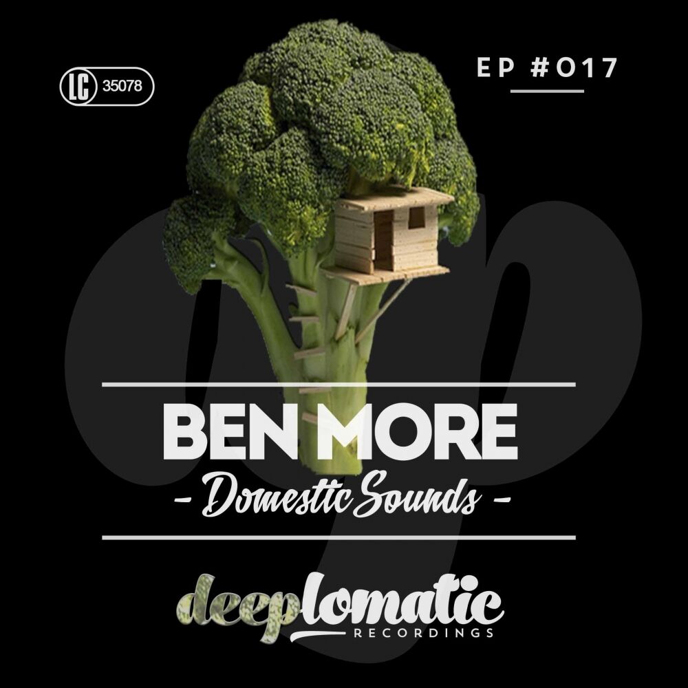 Picture of Domestic Sounds