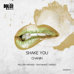 Cover of Shake You