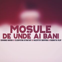 Cover of Moșule de unde ai bani?