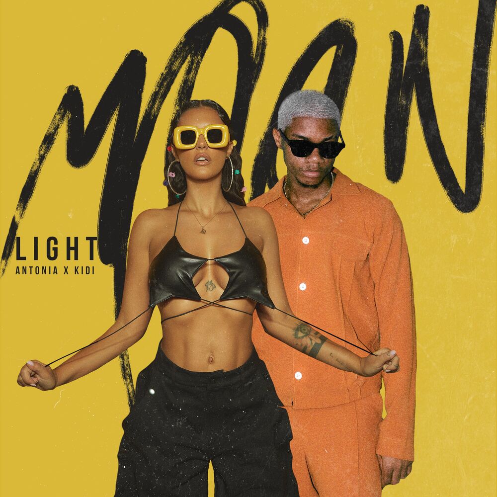 Picture of Moonlight