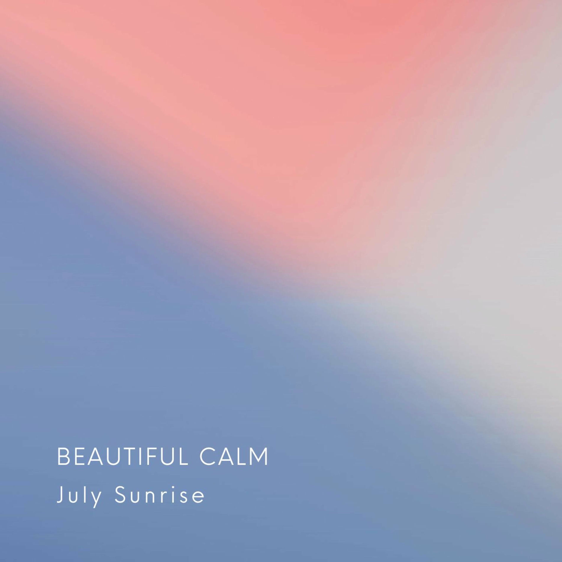 Album cover of Beautiful Calm
