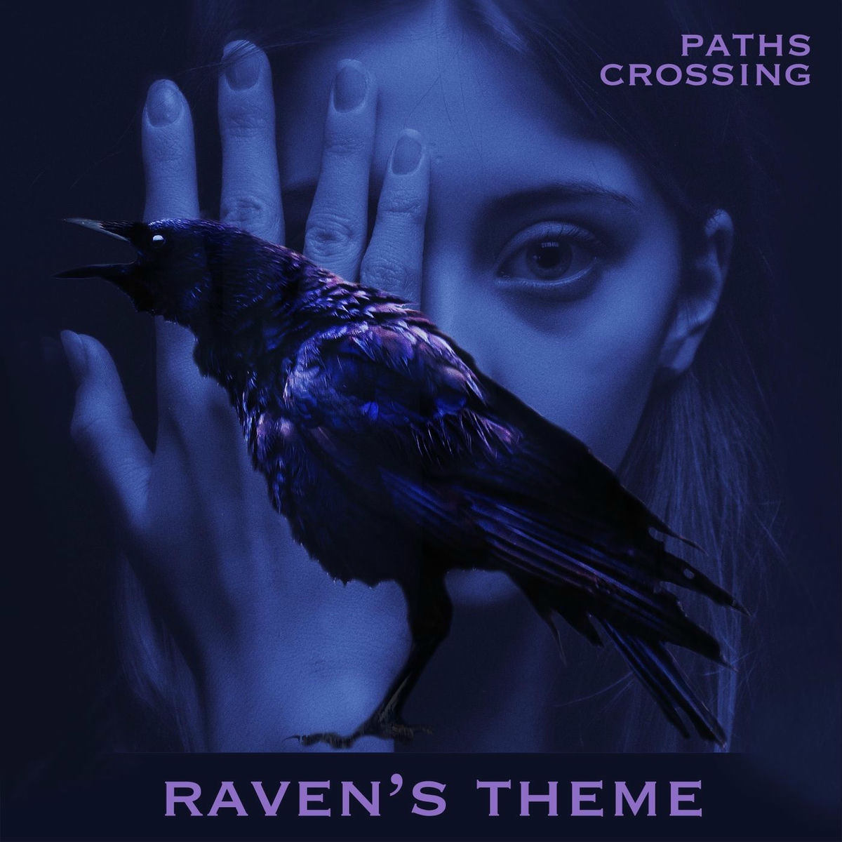 Album cover of Raven's Theme
