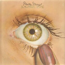 Cover of Savage Eye