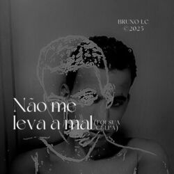 Cover of Não me leva a mal (foi sua culpa)