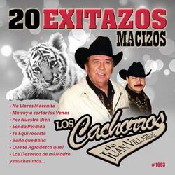 Cover of 20 Exitazos Macizos